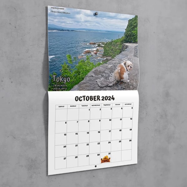 2024 e Funny Dog Pooping In Beautiful Places Vægkalender Uniq A2 one size