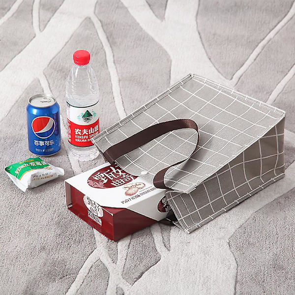 Matpose Kjølebag Matboks Tote For Kvinner Menn Voksne Barn (21*24*12.5cm) E