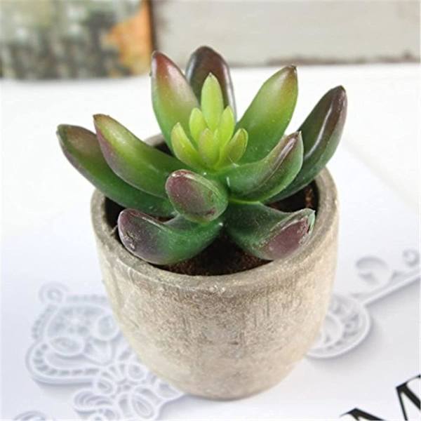 Simulerte sukkulenter i potter Grønne planter Mini kunstige planter i potter White