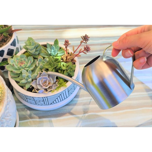 Itza 440 ml Lille Vandkande i Rustfrit Stål til Indendørs og Udendørs Stueplanter, Mini Vandingsværktøj til Bonsai, Sukkulenter & Orkideer