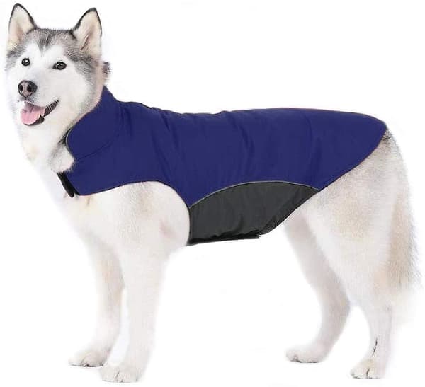 Hundkappa vinter varm fleecefoder med koppelhål mage skydd husdjur kläder jacka lätt vattenavvisande utomhus 5xl mörkblå 2XL