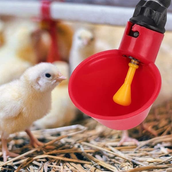 6 st automatiska vattenkoppar för kyckling, fjäderfä, vattenbehållare, automatisk kycklingvattendispenser, kycklingvattenkopp