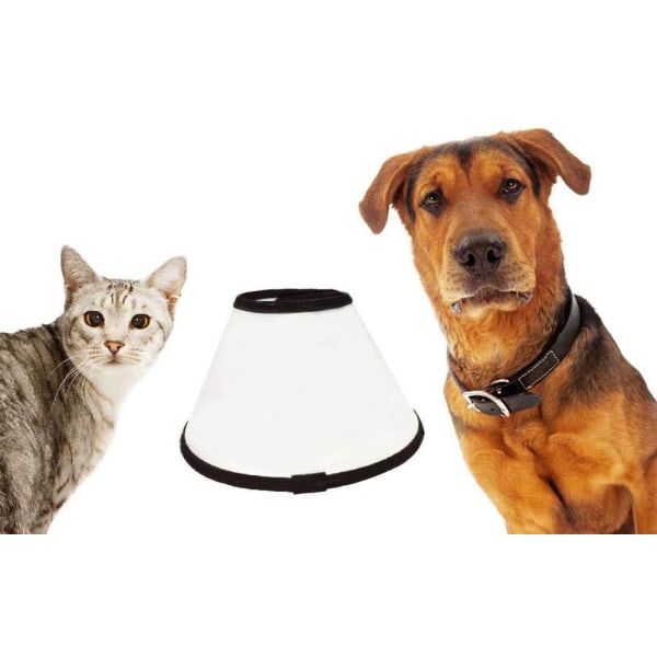 E-halsband för sällskapsdjur för hundar och katter, professionellt justerbart återhämtningshalsband för kirurgi, sårläkningsskydd (M)