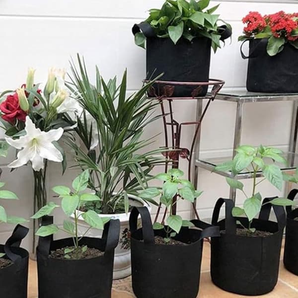 5-pack odlade väskor i non-woven tyg, 3 gallon växtpåsar för blommor, potatis, tomater, grönsaker
