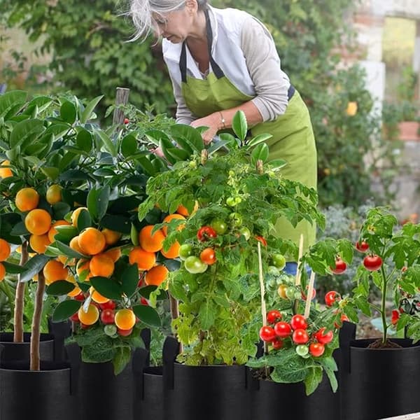 5-pack odlade väskor i non-woven tyg, 3 gallon växtpåsar för blommor, potatis, tomater, grönsaker