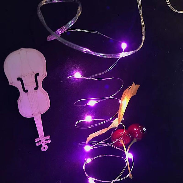Koppartråds ljusslinga mikrolampor LED ljusslinga batteridriven Warm White 1m10 lights