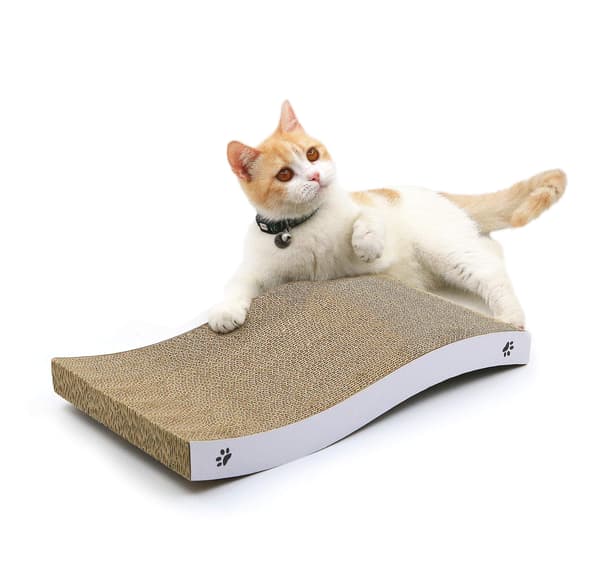 Katt Repbräda Med Premium Reptexturer Design Böjd Form Vändbar Användning Hållbar Repbräda Bone