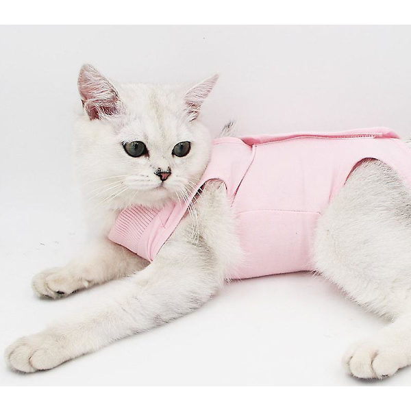 Katte Recovery Dragt Katte Efter Operation Recovery Dragt Kæledyrsoperation Rehabilitering Fravænnings Anti-slik Tøj Pink L