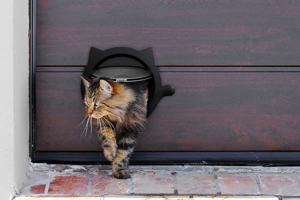 Katteluke for kjæledyr – 4-veis låsbar katteluke - for innerdører og ytterdører