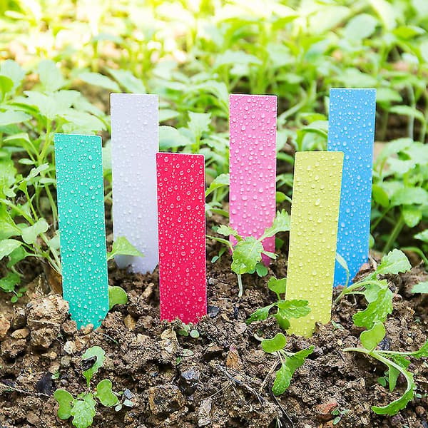 100 st A-förpackning plastväxtetiketter vattentäta spetsiga plastväxtskyltar plantskyltar plantskyltar White 4*2cm