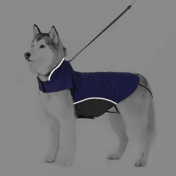 Hundkappa vinter varm fleecefoder med koppelhål mage skydd husdjur kläder jacka lätt vattenavvisande utomhus 5xl mörkblå 2XL