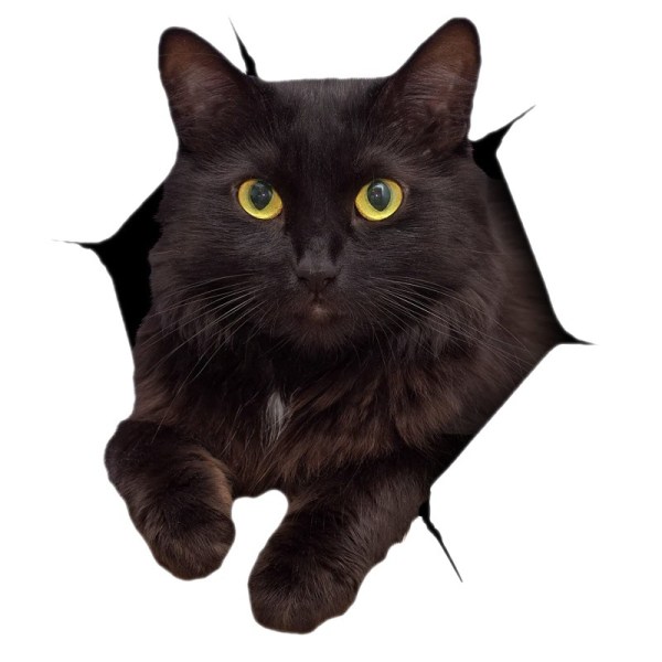 3D Cat Stickers - 3 Pack - Svarta kattklistermärken för dörrar, presenter, väggar, kylskåp, toaletter och mer