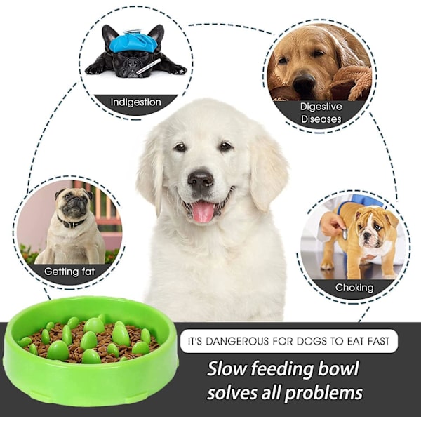 Grøn Slow Feeding Skål til Hunde, Slow Feeding Skål, Anti-Gluttony Skål til Hunde, Katte, Fremmer Sund Spisning og Langsom Fordøjelse