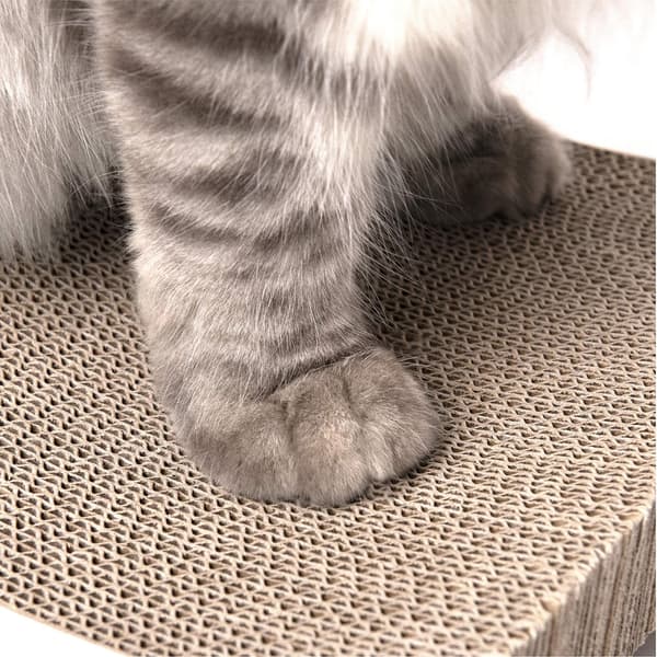 Katt Repbräda Med Premium Reptexturer Design Böjd Form Vändbar Användning Hållbar Repbräda M