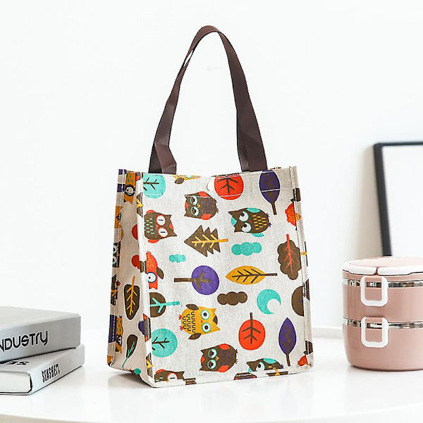 Lunch Bag Cool Bag Lunch Box Tote För Kvinnor Män Vuxna Barn (21*24*12.5cm) E