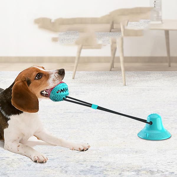 Foderbold til kæledyr med lyd, hundetandrensningslegetøj, silikone, hvidt puslespilslegetøj Blue B With suction cup