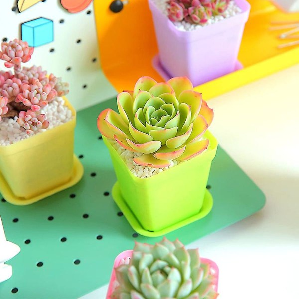 10 stk. Fargerike blomsterpotter i plast, små firkantede plantepotter, tykke innendørs mini-barnehagepotter Blue