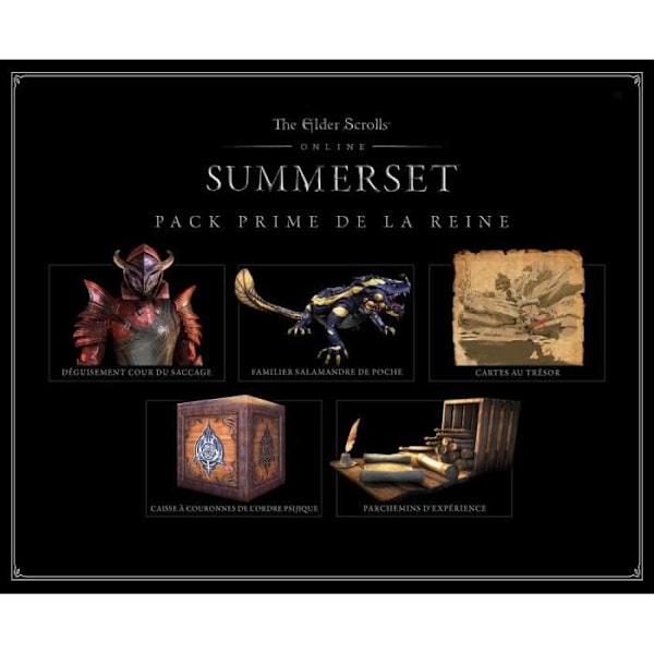 Videospil - Bethesda Softworks - The Elder Scrolls Online: Summerset - PS4 - Rollespil - 1 spiller Vit