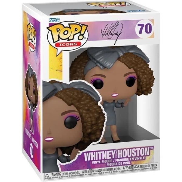 POP-ikoner: Whitney Houston(HWIK)
