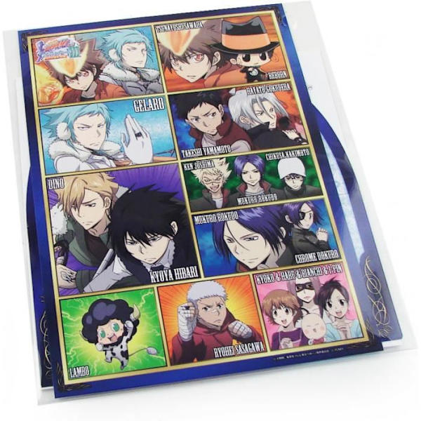KATEKYOO HITMAN REBORN! DS FATE OF HEAT III - YUKI NO SHUGOMONO RAISHUU! [BEGRÄNSAD UTGÅVA]