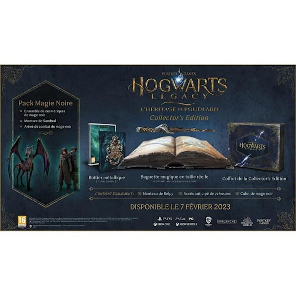 Hogwarts Legacy: Hogwarts Legacy - Collector's Edition-Game-XBOX SERIES