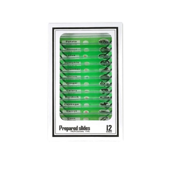 Mikroskopglas Preparerade glas för mikroskop prover