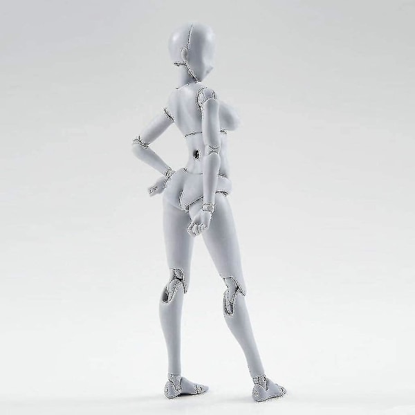 Action Figure -piirustusmalli, piirustushahmoja taiteilijoille Action Figure -malli ihmismannekiini mies nainen 8.46 x 7.09 x 1.85 inches Female