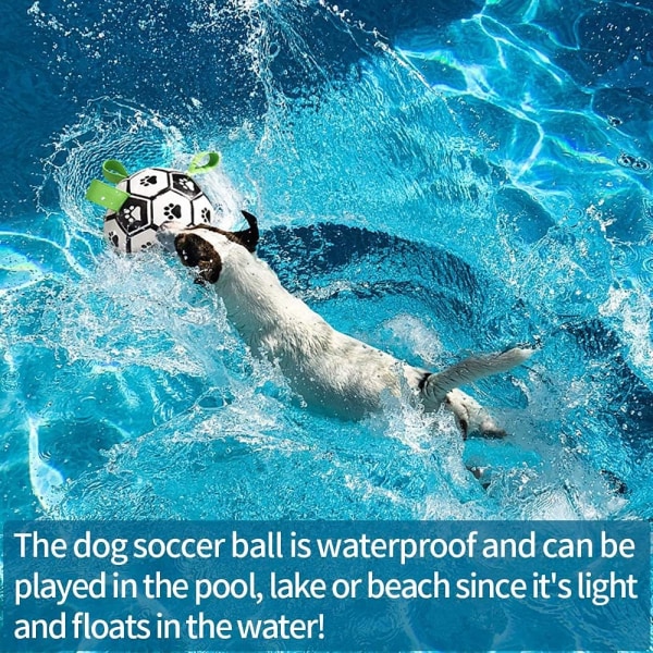 Interaktive hundefotballleker med gripetapper, holdbare hundevannballer for små mellomstore raser, innendørs og utendørs