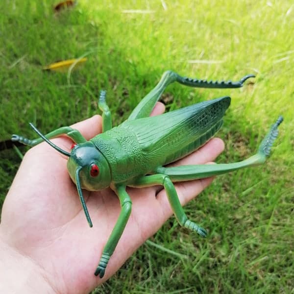 Scarede Lifelike Falske Edderkopper Cricket Ladybug Græshoppe Insekt Simuleringsmodel Legetøj Simuleringsdyreliv Model Ornament