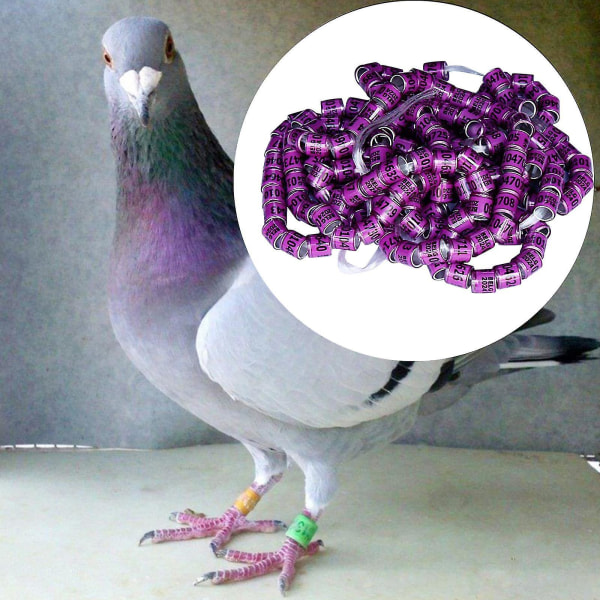 100 stykker Pigeon Dove Leg Rings 2024 Identifiser bånd Fugler Fotring Liten størrelse Lett gjenbrukbar Lyse farger og tall Identifiser Ring-e