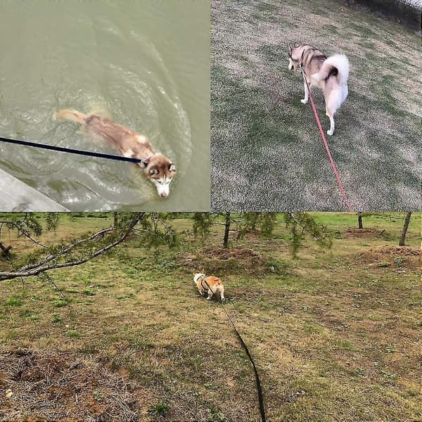 Hundetræningsline, 2,5 cm*10 m Tilbagekaldelsesline, Lang sporingsline Lang line til kæledyr Tilbagekaldelseslydighed