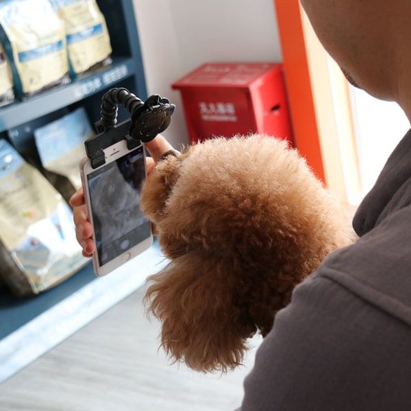 Justerbar kæledyr selfie stick telefonholder til kæledyr hund til kat til telefon en sort