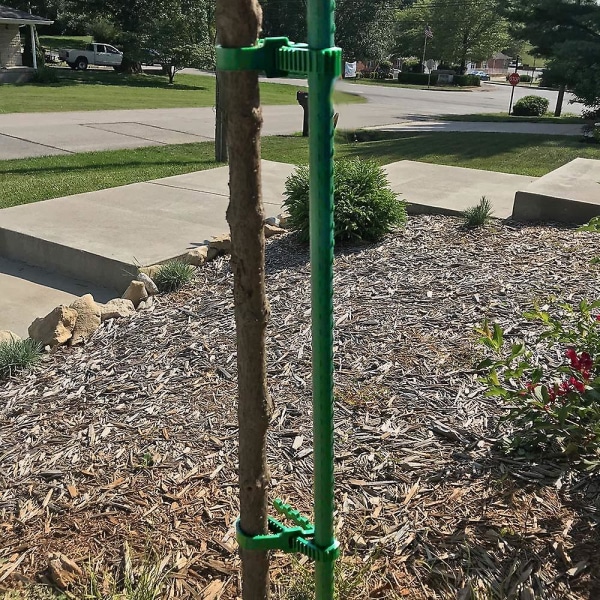 10 stk kraftige plantebånd, 35 cm justerbare trebånd hagebånd for buskrosestøtte