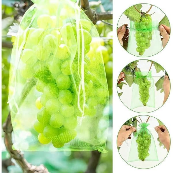 Fruktskyddspåsar - Organza - 20x30 cm - 17x23 cm - 60 st