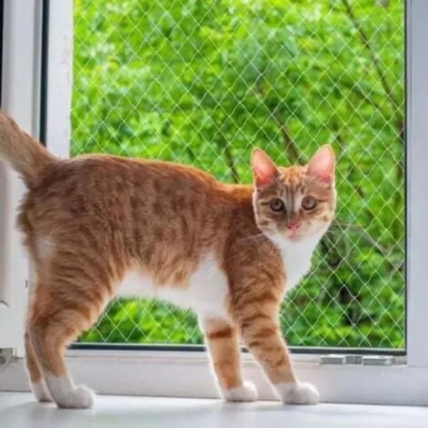 Kattnät - Nylon 3 x 4 m - Transparent - Ingen borrning krävs - Skär- och bitsäkert