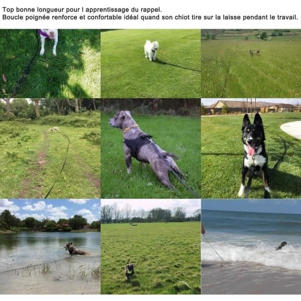1 st hundkoppel - hundträningskoppel med handtag (20M)