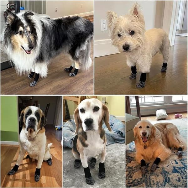 4-pak skridsikre hundesokker - vinterbeskyttelse - størrelse M