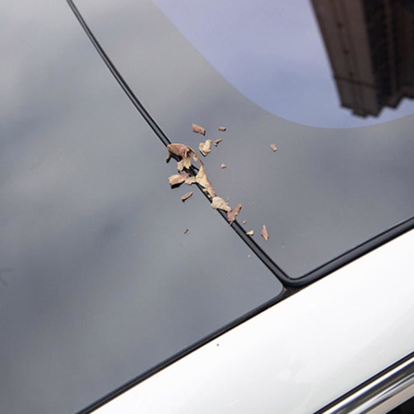 Tätningslist för Tesla Model 3/Y soltak, vindruta, ljudisolering, för modell 3, en storlek, för modell 3, en storlek