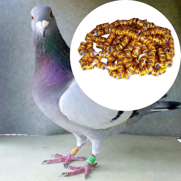 100 stykker Pigeon Dove Leg Rings 2024 Identifiser bånd Fugler Fotring Liten størrelse Lett gjenbrukbar Lyse farger og tall Identifiser Ring-C1
