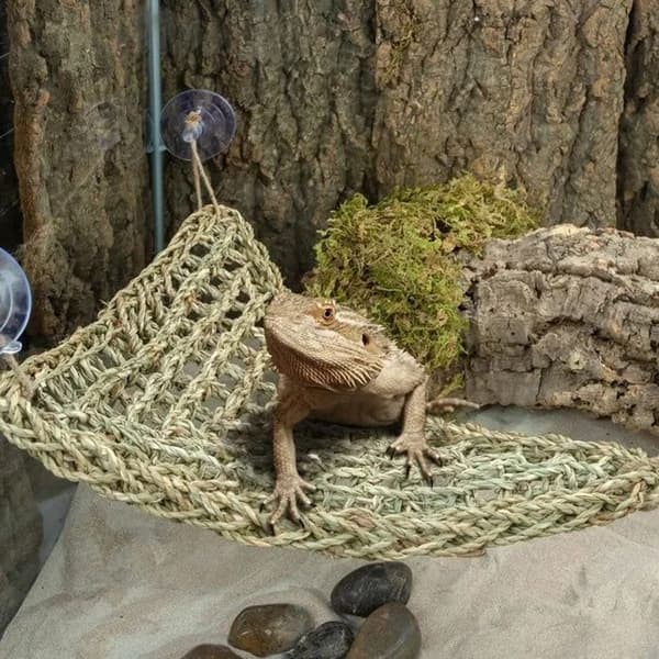 Triangulär hängmatta för reptiler 32x32x42 cm, hängande plattform med sugkoppar, terrariumtillbehör grå