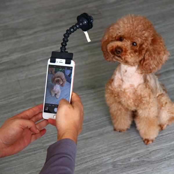 Justerbar kæledyr selfie stick telefonholder til kæledyr hund til kat til telefon en sort