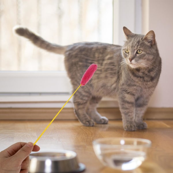 5 kpl Pehmonauhalelu koulutussauva Kissan interaktiivinen pehmolelu Hauska Stick Teaser kissanpennulle (satunnainen väri)
