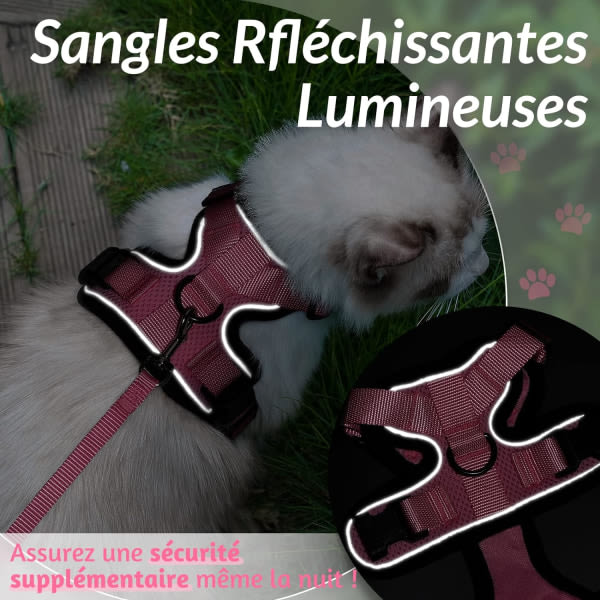 Kattesele Lille hundesnor Justerbar killingesele (Pink XS) R