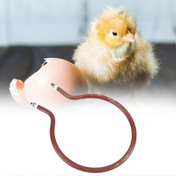 Värmeelement för inkubator, cirkulärt värmeelement, inkubatortillbehör (200W liten cirkulär)