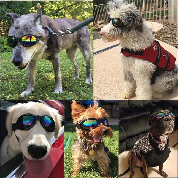 Hunde Goggles Hund Solbriller, Hunde Briller Vindtett Valp Goggles Anti-Tåke UV-beskyttelse Solbriller for Katt Små Hunder (Svart)