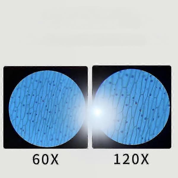 Børns Bærbare Lommemikroskop Med Justerbar Zoom 60-120x blue