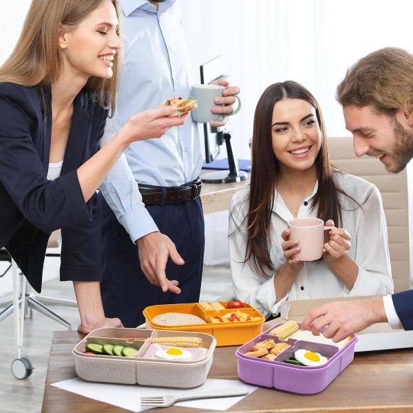 Lunchboks, Naturlig Hvetefiber Material, Sunn Matsikker Lunsjbeholder for Familien