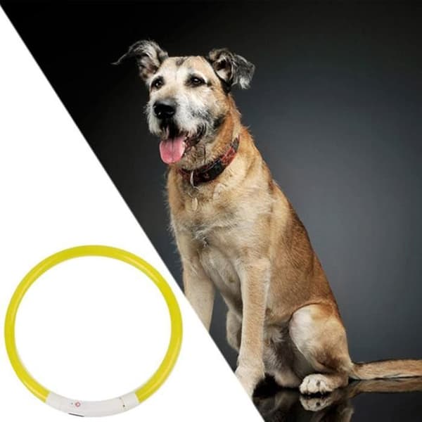 LED blinkende lysende hundehalsbånd, lysende halsring, sikkerhet, USB oppladbart, lyst, vanntett halsbånd, gul