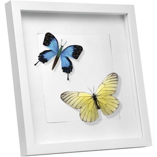EUGAD 3D Fotoram i MDF och Glas 40x40cm Vit