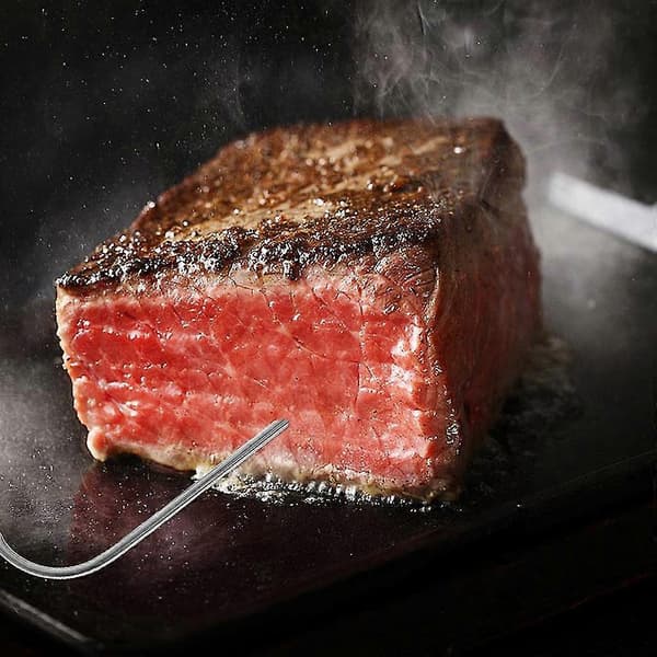 Probe til trådløst BBQ termometer ovn kødprobe rustfrit stål materiale